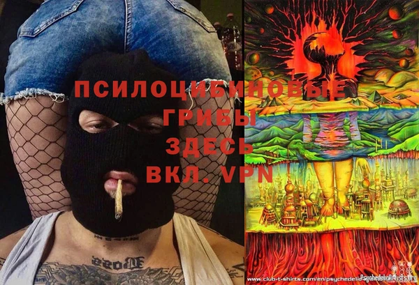 соль курить ск Верея