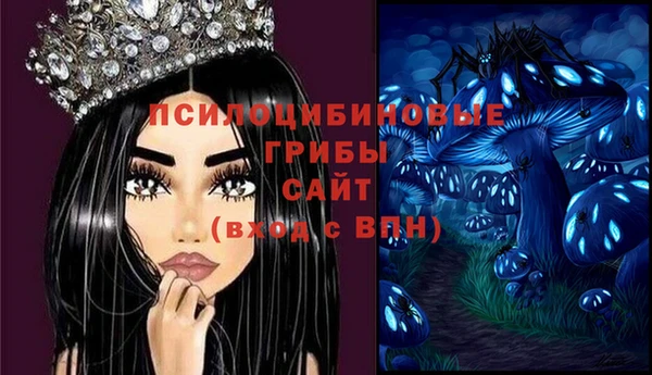 ПСИЛОЦИБИНОВЫЕ ГРИБЫ Верхний Тагил