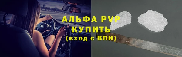 ПСИЛОЦИБИНОВЫЕ ГРИБЫ Верхний Тагил
