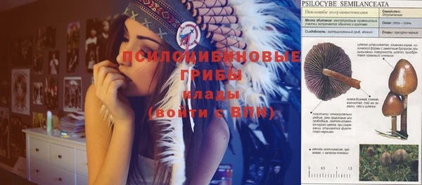 соль курить ск Верея