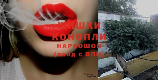 ПСИЛОЦИБИНОВЫЕ ГРИБЫ Верхний Тагил