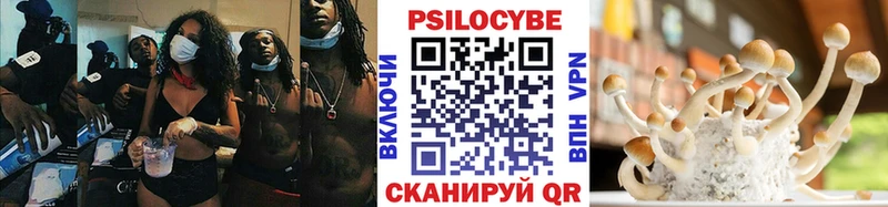OMG зеркало  Кемерово  Псилоцибиновые грибы Psilocybine cubensis 